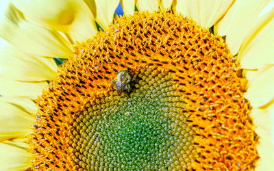 Similar image 21285976