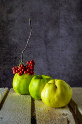 Similar image 21285979