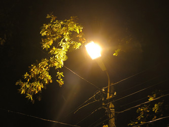 Similar image 21286348