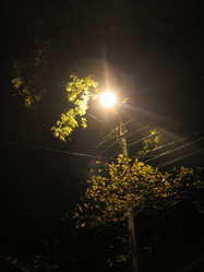 Similar image 21286349