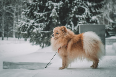 Similar image 21284211