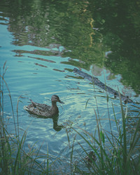 Similar image 21284217