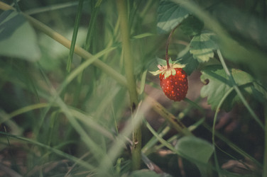 Similar image 21284218