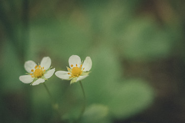 Similar image 21286001