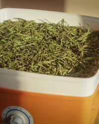 Similar image 21286005