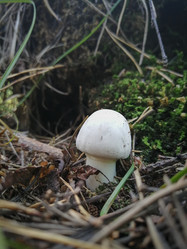 Similar image 21286011