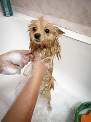 Similar image 21286014