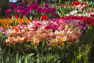 Similar image 21285426