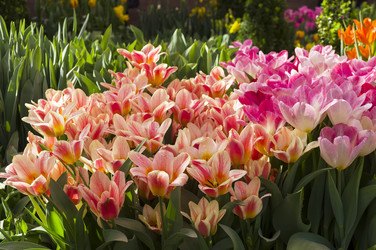 Similar image 21285427