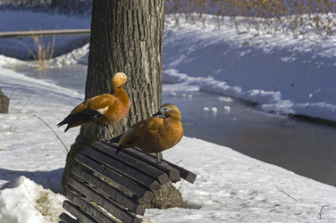 Similar image 21285428