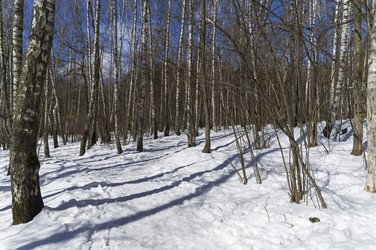 Similar image 21285429