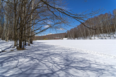 Similar image 21285430