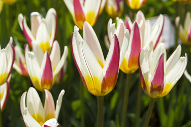 Similar image 21285432