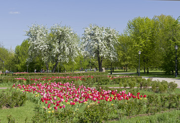 Similar image 21285435