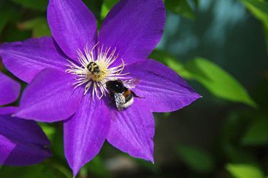 Similar image 21285436