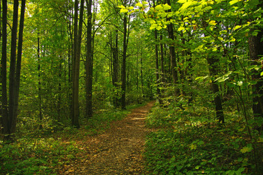 Similar image 21285437