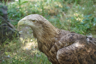 Similar image 21284171