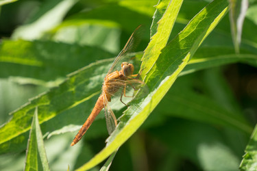 Similar image 21284172