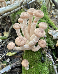 Similar image 21286732