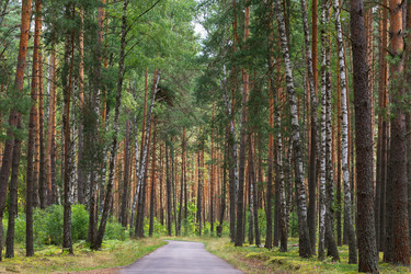 Similar image 21285070