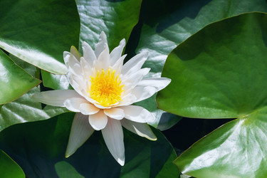 Similar image 21285194