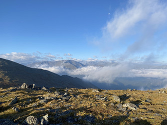 Similar image 21287542