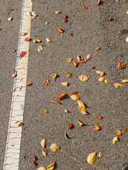 Similar image 21285010