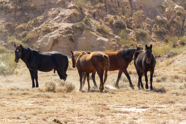 Similar image 21285014