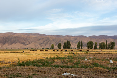 Similar image 21285080