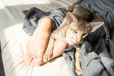 Similar image 21285083