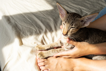 Similar image 21285089