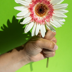 Similar image 21285092