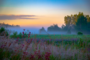 Similar image 21285818