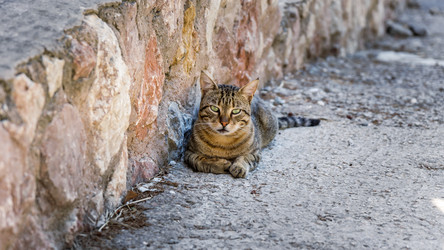 Similar image 21286358