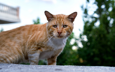 Similar image 21286361