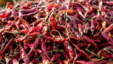 Similar image 21286747