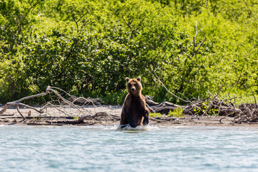 Similar image 21286751