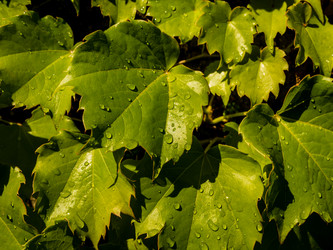 Similar image 21286760