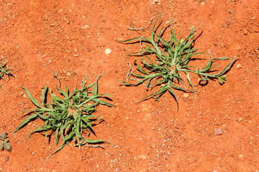 Similar image 21286763