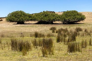 Similar image 21286767