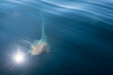 Similar image 21286771