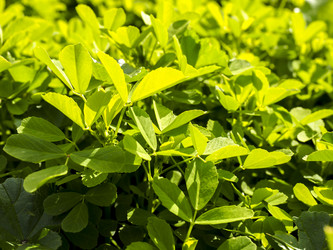 Similar image 21286777