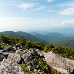 Similar image 21286778