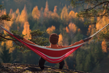 Similar image 21286799