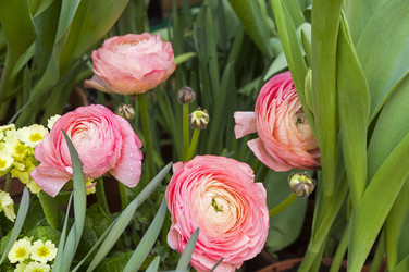 Similar image 21286411