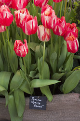 Similar image 21286412