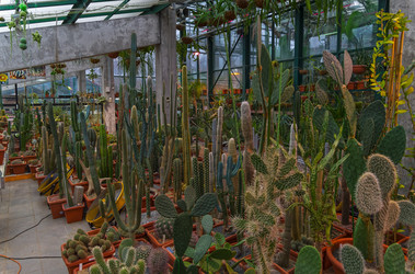 Similar image 21286413