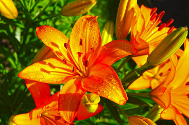 Similar image 21286414