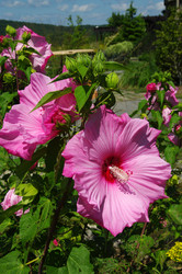 Similar image 21286416