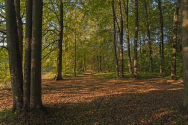 Similar image 21286417